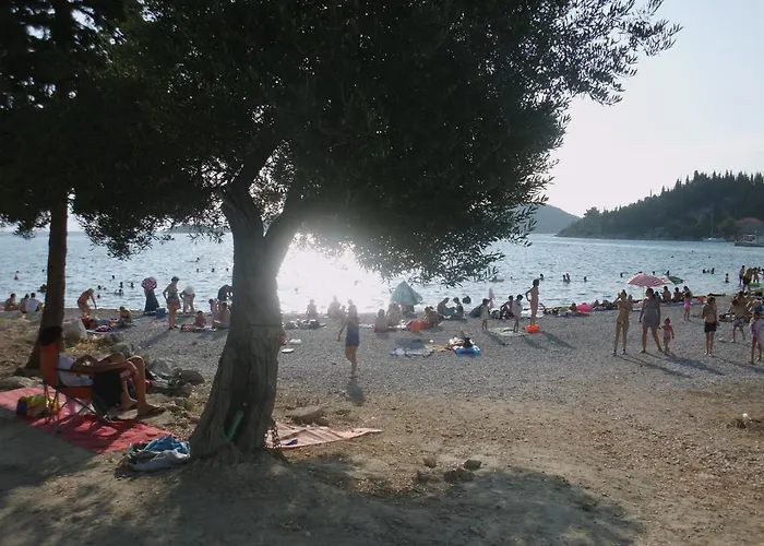 شقة Petar بلاتشي