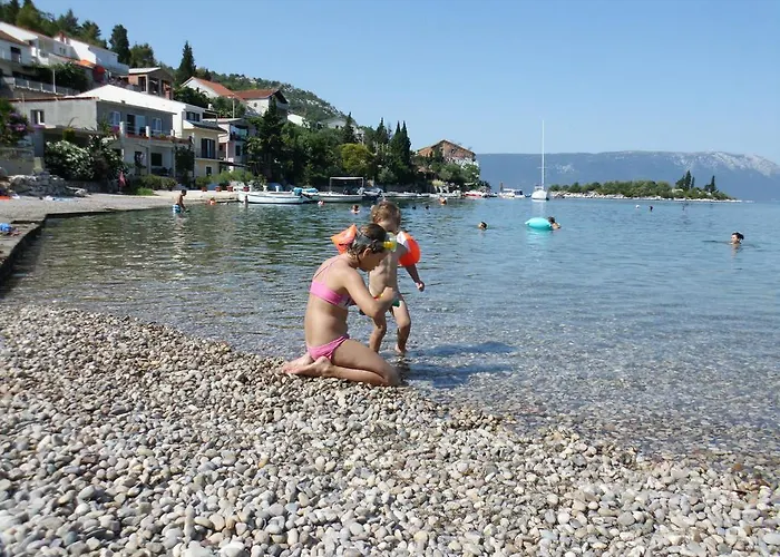 Petar * بلاتشي