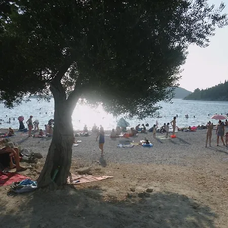 公寓 Petar 布拉采